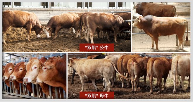 易倍体育 EMC易倍内蒙古自治区一流学科：内蒙古大学生物学学科(图4)