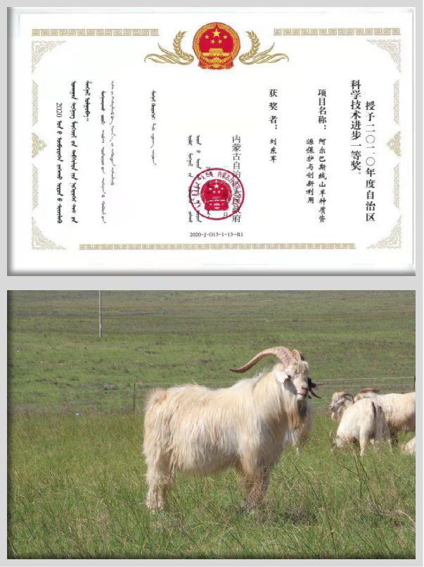 易倍体育 EMC易倍内蒙古自治区一流学科：内蒙古大学生物学学科(图6)