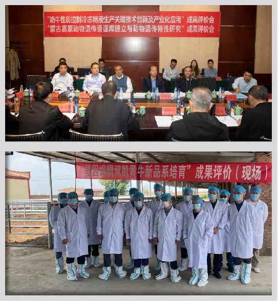 易倍体育 EMC易倍内蒙古自治区一流学科：内蒙古大学生物学学科(图8)