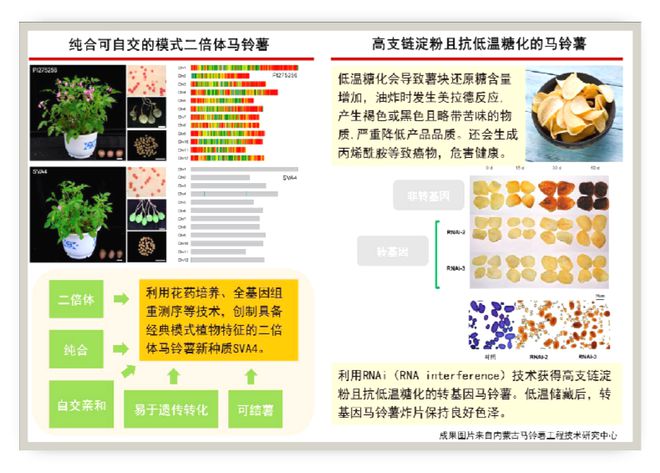 易倍体育 EMC易倍内蒙古自治区一流学科：内蒙古大学生物学学科(图7)