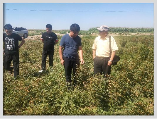 易倍体育 EMC易倍内蒙古自治区一流学科：内蒙古大学生物学学科(图9)