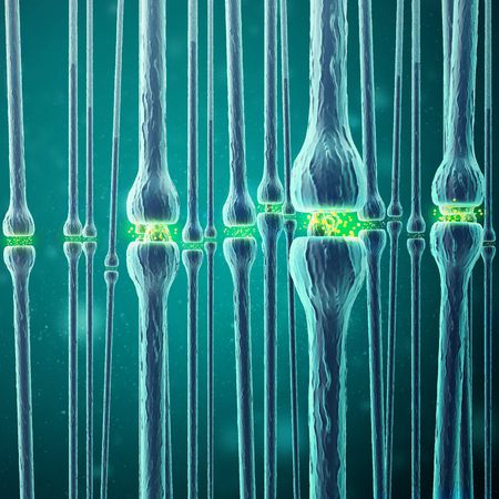 EMC体育 EMC易倍体育重症肌无力最新研究：新药物疗法获得突破(图1)