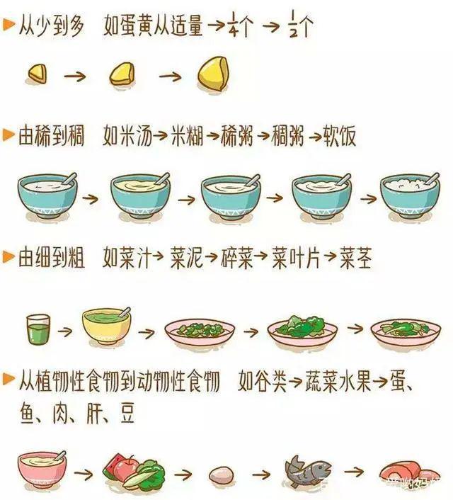 六个月宝宝辅食推荐简单易做又营养一天喂养全计划EMC易倍体育 易倍EMC(图4)