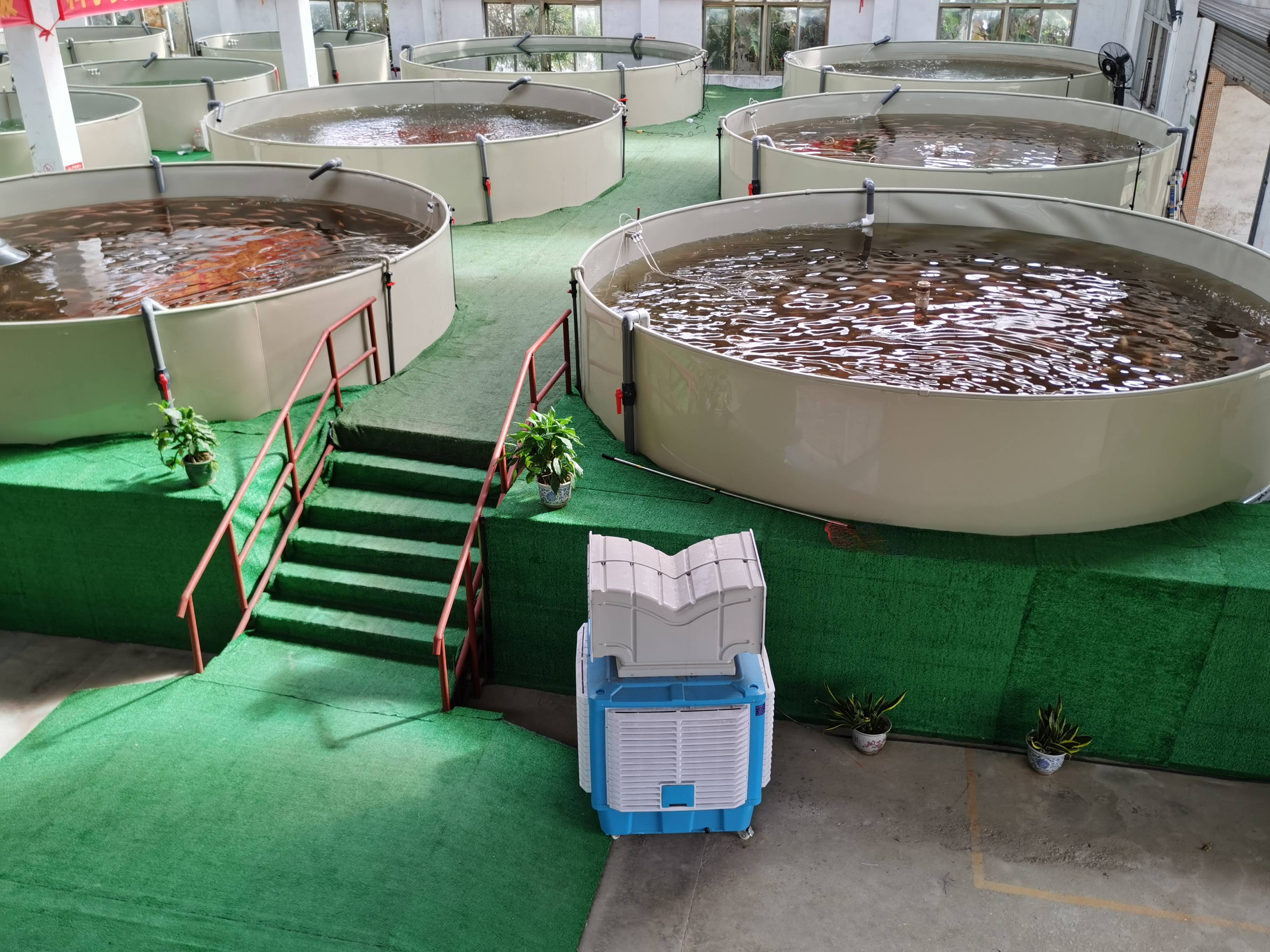 佛山市辉创众兴农业生物科技有限易倍体育 EMC易倍公司循环水养殖成功助力渔虾水产养殖发展(图1)