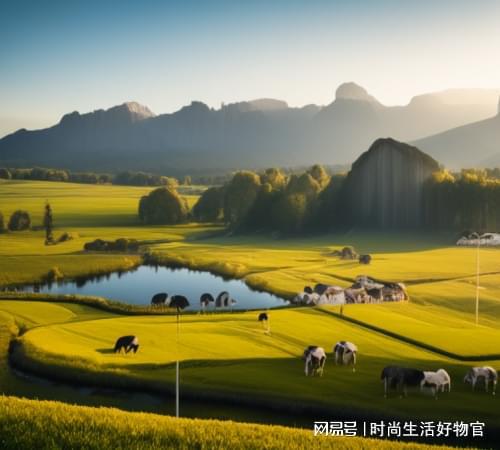 乳铁蛋白奶粉带来突破性营养成为宝宝发育期优选易倍体育 EMC易倍(图1)