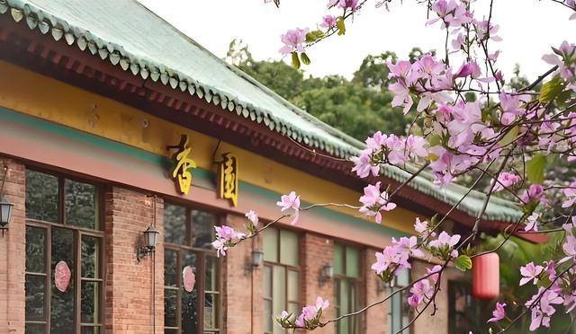 EMC体育 EMC易倍体育华南农业大学热门专业及综合实力分析(图2)