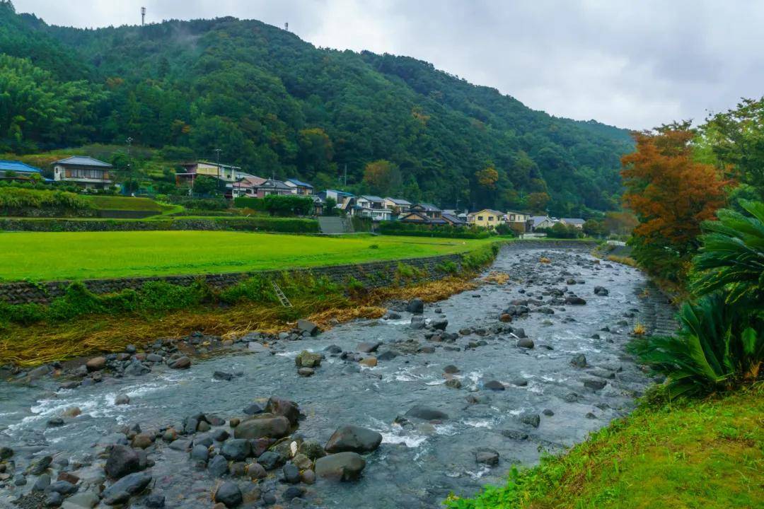 博雅视野 我国康养文旅的发展类型、前EMC易倍体育 易倍EMC景分析与国际借鉴(图1)