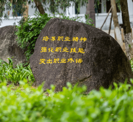 EMC体育 EMC易倍体育校友会2024中国东北地区高职院校分档排名沈阳职业技术学院高居最高档(图1)