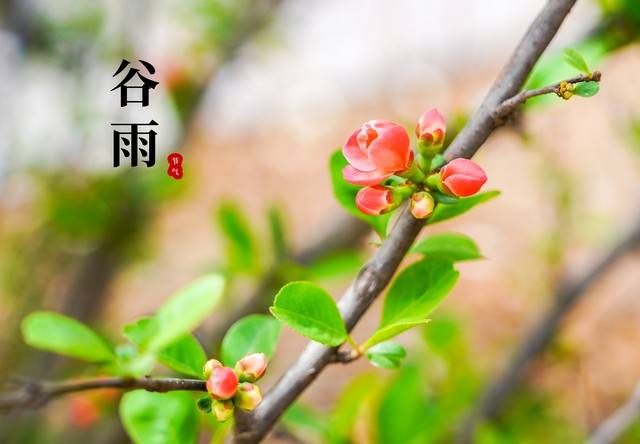 EMC易倍体育 易倍EMC谷雨吃肉有讲究？建议：中老年人常吃这3肉强免疫营养高迎接夏季打基础！(图2)