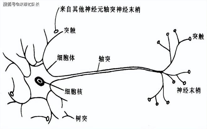 EMC体育 EMC易倍体育上海健桥主任【科普】多发性末梢神经炎 是怎么回事？(图4)