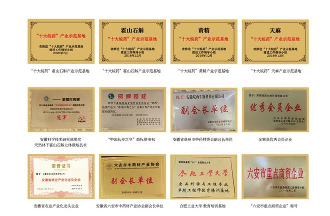 易倍体育 EMC易倍安徽皖西生物科技有限公司正式上线脱贫地区农副产品网络销售平台(图1)